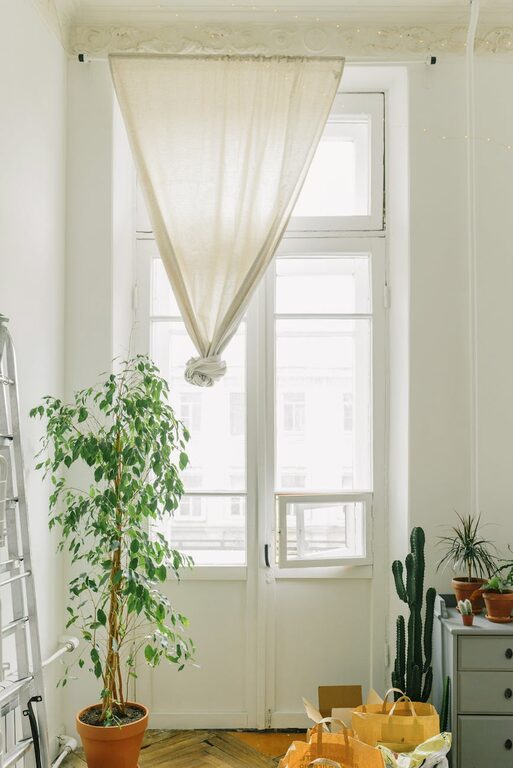 How to Refresh Your Home with Plants: Easy Tips for a Greener Space